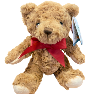 B4VK Charity Bear