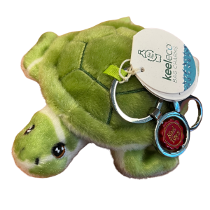 B4VK Charity Turtle